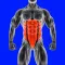 Abs Core Home Fitness Workout