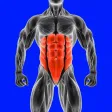 Abs Core Home Fitness Workout Abs Core Home Fitness Workout