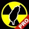 Radiation Taiwan-輻射偵測台灣Pro