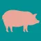 Pig Weight Estimator