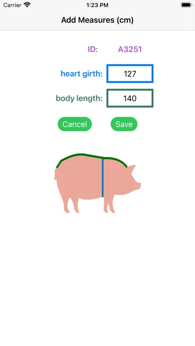 Pig Weight Estimator Ekran Görüntüleri