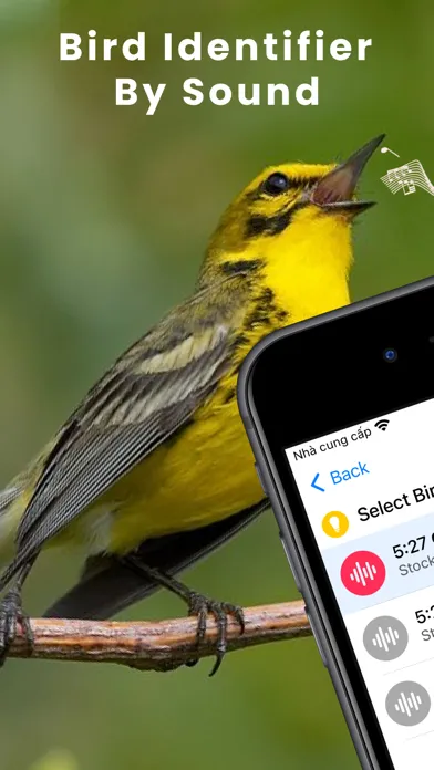 Bird Identifier by Sound ID!应用截图