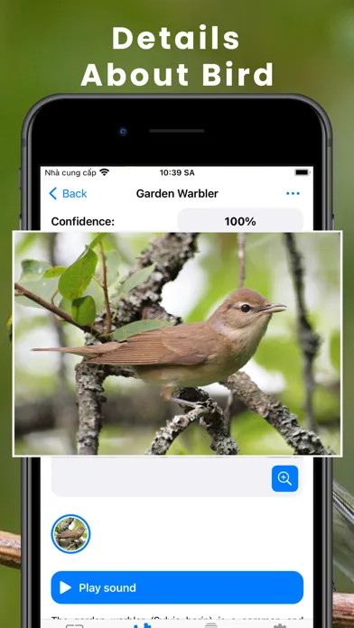 Bird Identifier by Sound ID!应用截图