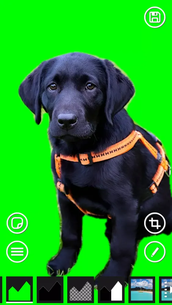 AI Green Screen應用截圖