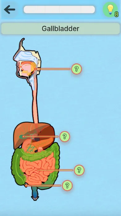 Anatomy Pro Screenshots