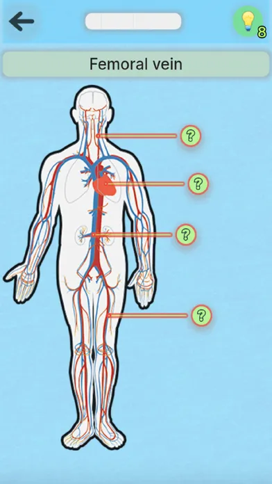 Anatomy Pro Screenshots