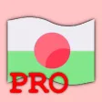 World Flags Pro