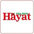 Yalova Hayat Yalova Hayat