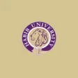 Habib University