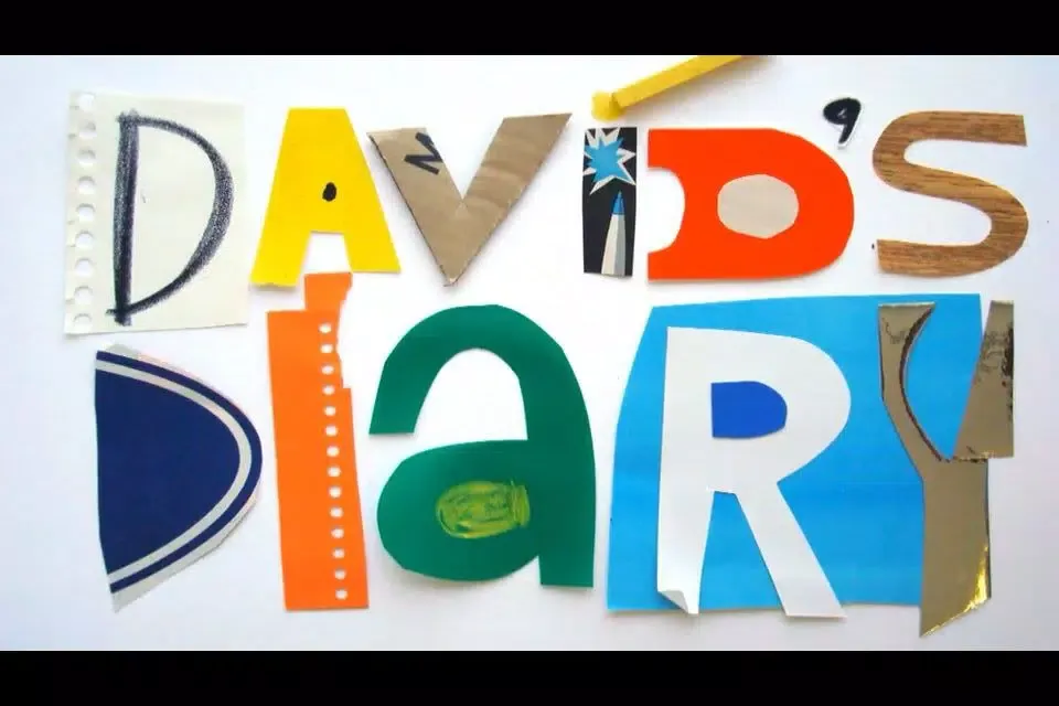 David's Diary سکرین شاٹس