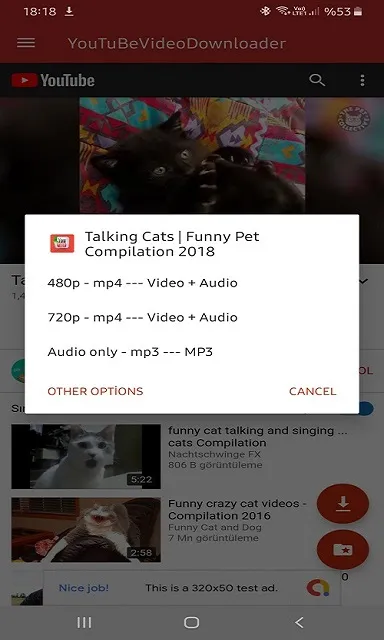 Ảnh chụp màn hình của Youtube Downloader