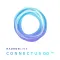 Hadronlink Connectus