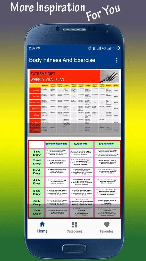 Body Fitness And Exercise Screenshots