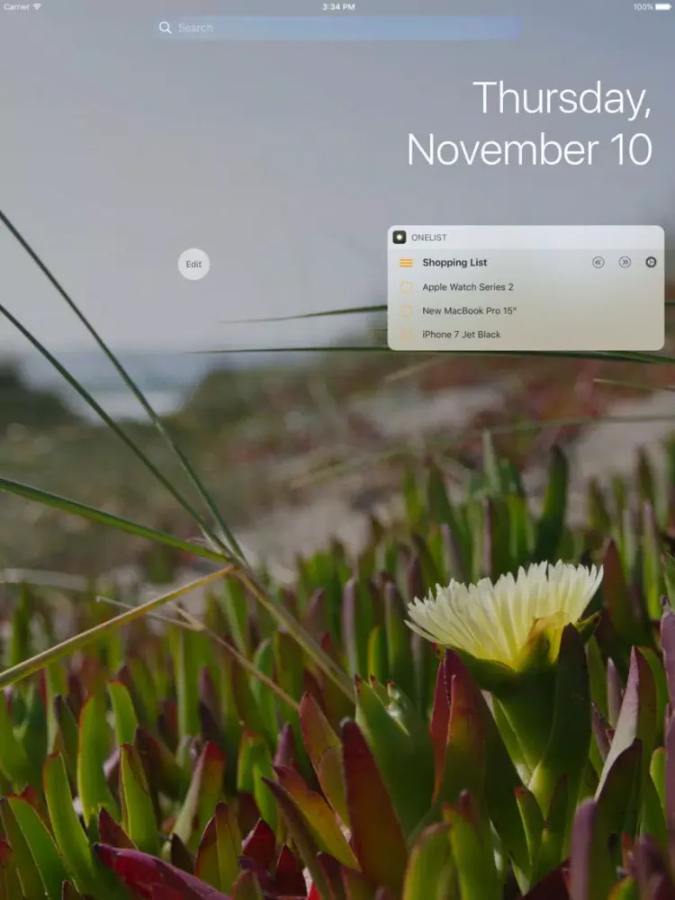 Zrzuty ekranu OneList - Reminders Widget iPad 