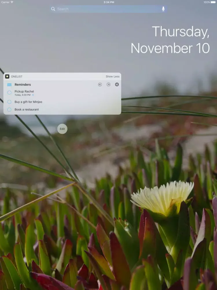 Zrzuty ekranu OneList - Reminders Widget iPad 