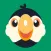 Coolfly:More Than Birdwatching