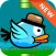 Crazy Bird:Flying bird