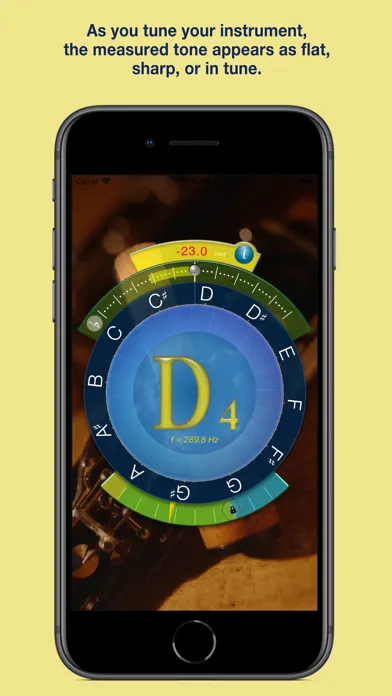Capturas de tela do Concert Pitch Instrument Tuner