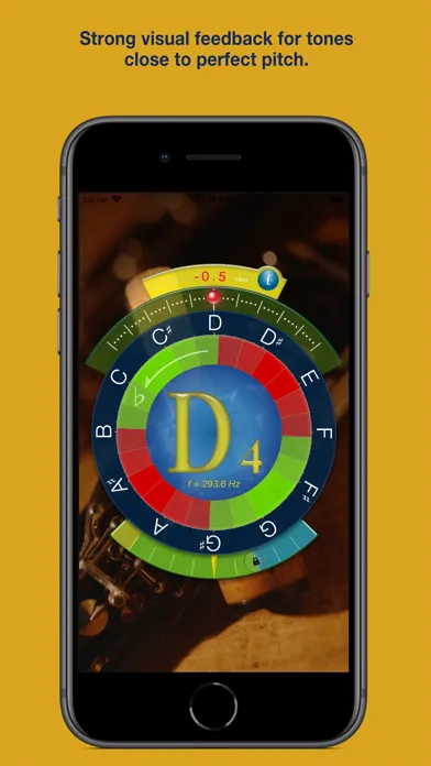 Capturas de tela do Concert Pitch Instrument Tuner