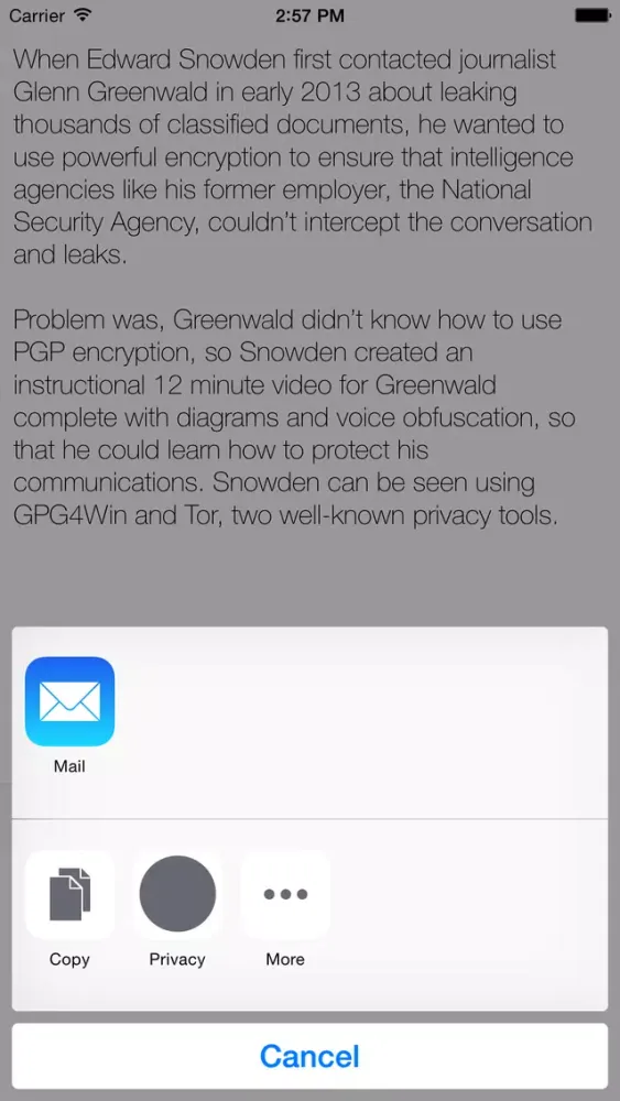 Screenshot di Privacy, PGP Messenger