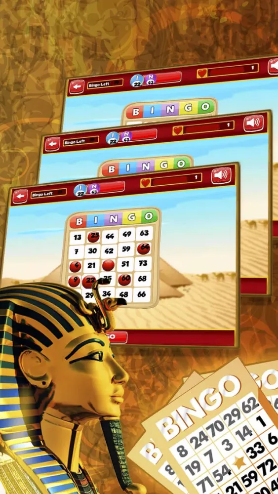 صور Bingo Maximum