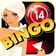 Bingo Club Feast Bingo Club Feast