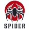 Spider Hero Climber Crime City