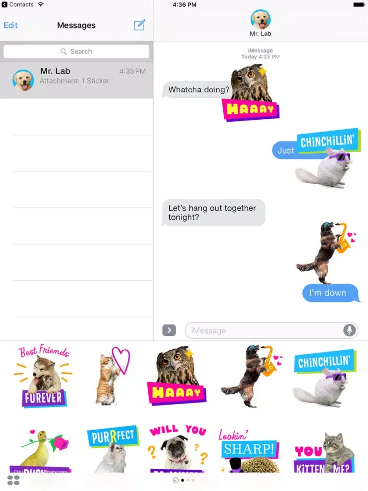 Just Fur You - Animated Hallmark Stickers iPad 应用截图