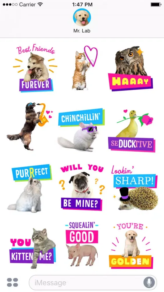 Just Fur You - Animated Hallmark Stickers应用截图
