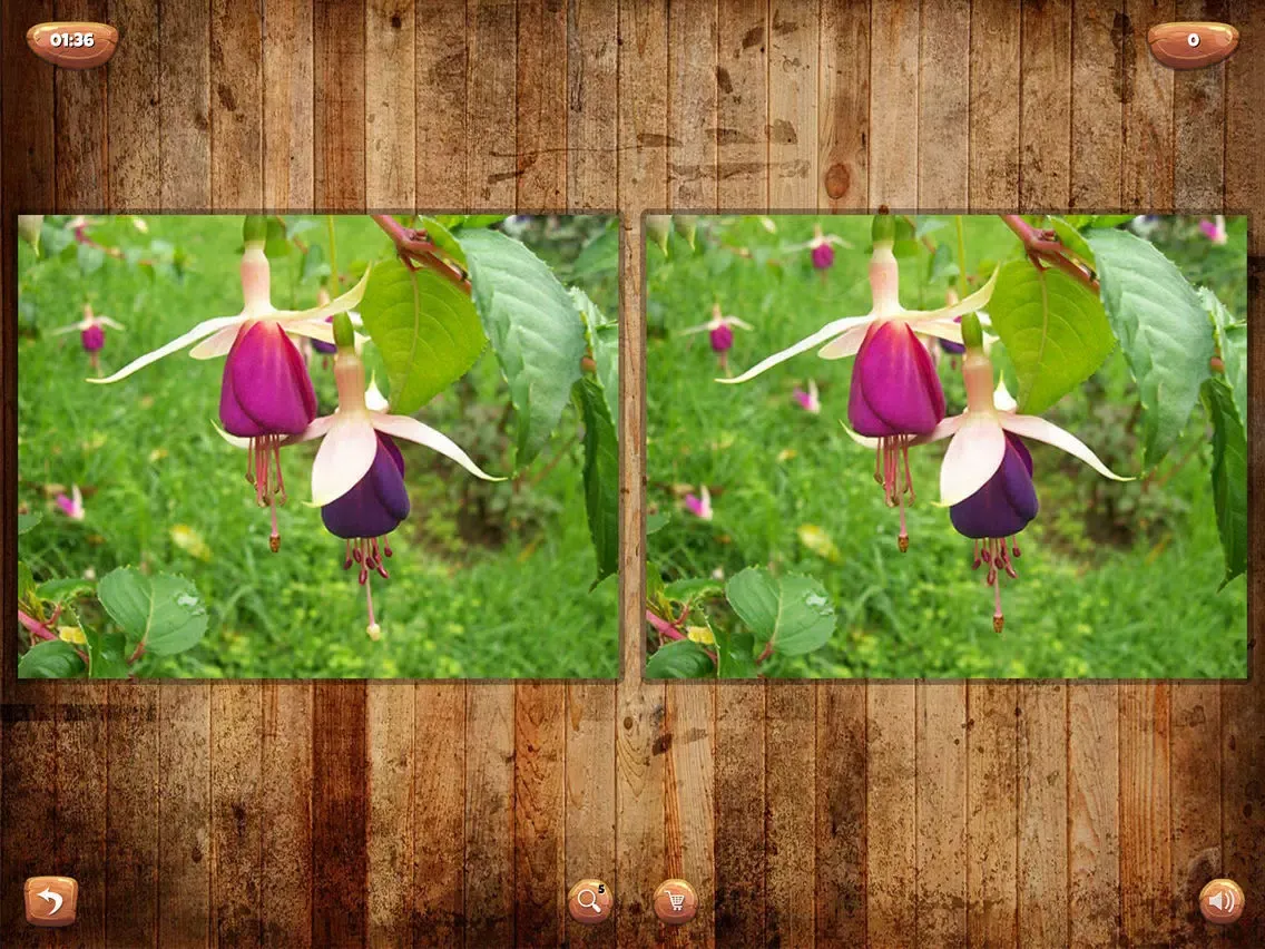 Photo Hunt - HD Game iPad  Screenshots