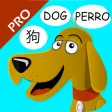 First Words Int. Pro HD First Words Int. Pro HD
