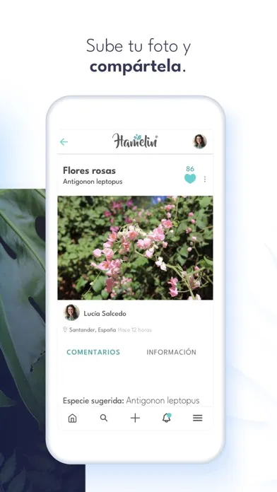 Hamelin Nature Social Network 스크린샷