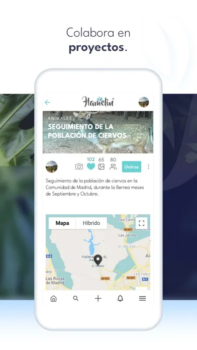 Hamelin Nature Social Network 스크린샷