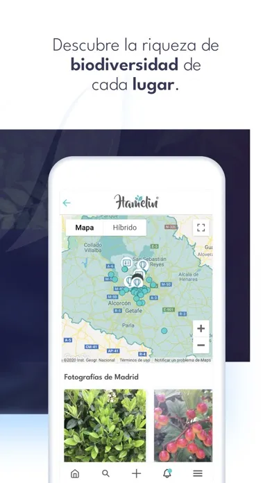 Hamelin Nature Social Network 스크린샷