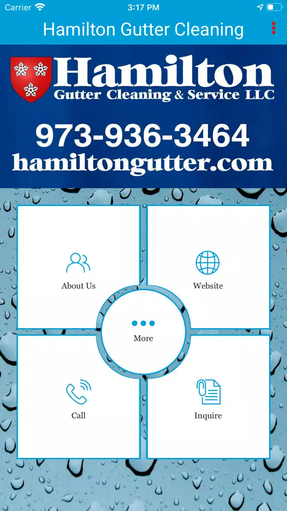 Tangkapan layar Hamilton Gutter Cleaning