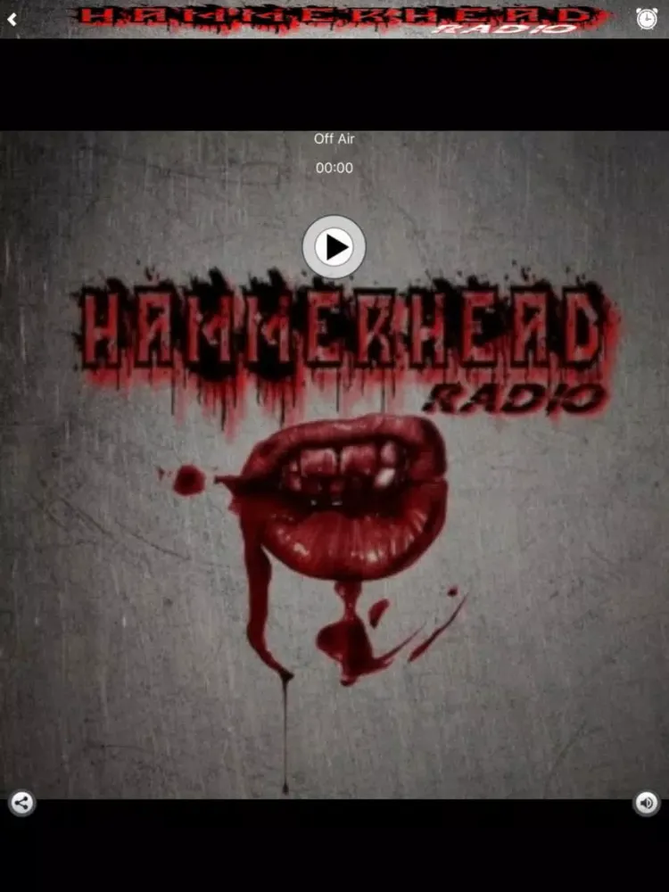 Скриншоты HammerHead Internet Radio iPad 
