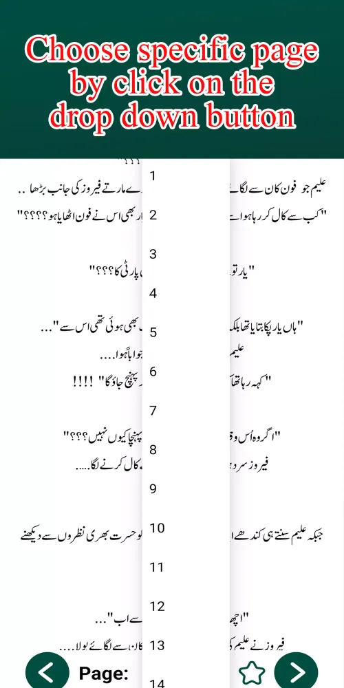 Pareshay Urdu Romantic Novel Screenshots