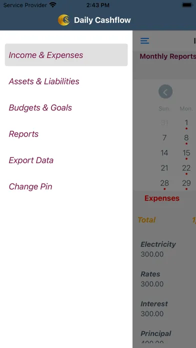 Capturas de tela do Daily Cashflow - Financial Log
