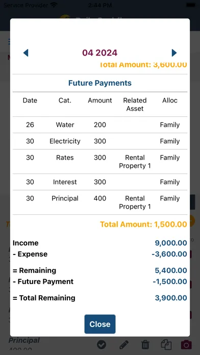 Capturas de tela do Daily Cashflow - Financial Log