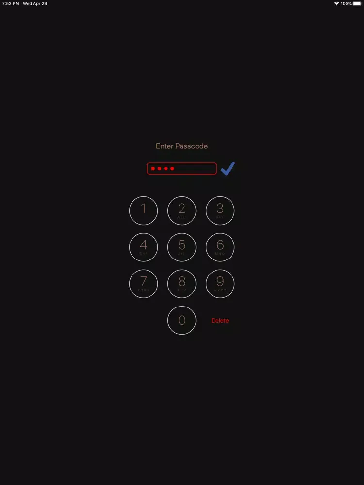 Photo Video Vault iPad 应用截图