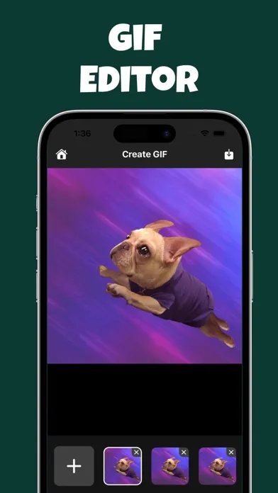 Tangkapan skrin GIF Editor: Video To GIF