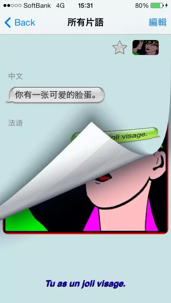 法语 - Talking Chinese to French Phrase Book Screenshots