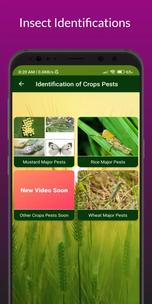 Zrzuty ekranu Agri Study Books