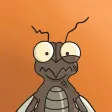 Mindful Gnats Mindful Gnats