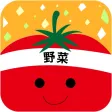 ベジ選手権