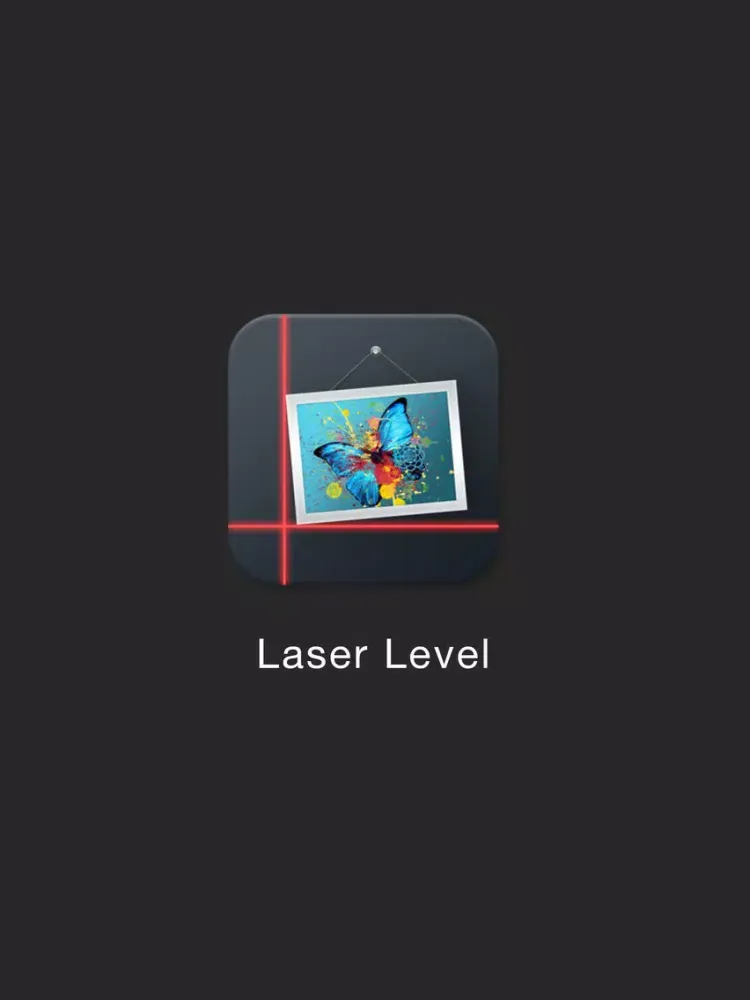 Laser Level for Walls and Surfaces iPad 应用截图