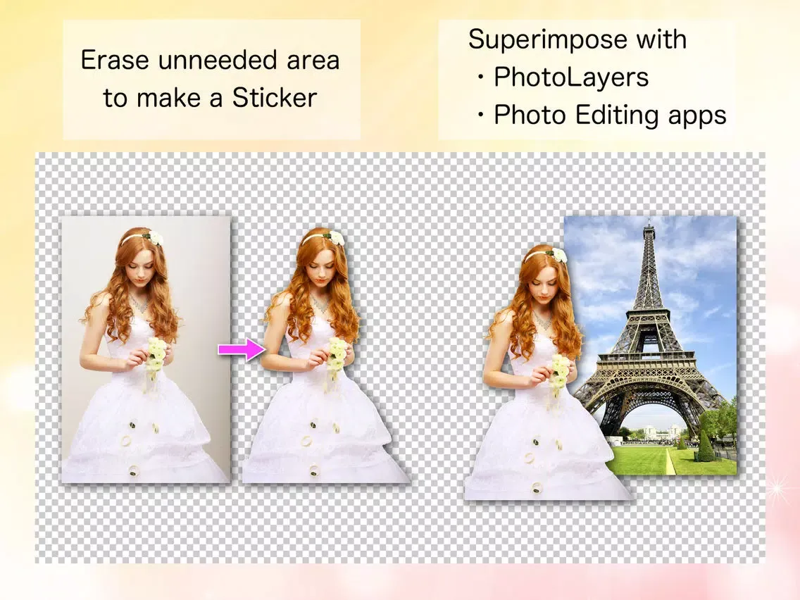 Background Eraser for iPad iPad  Ekran Görüntüleri