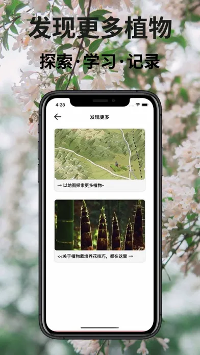 植物识别-拍照识花草虫鸟树木應用截圖