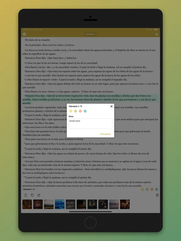 تصاویر Nueva Traduccion Viviente iPad 
