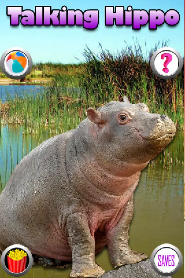 Talking Hippo Screenshots